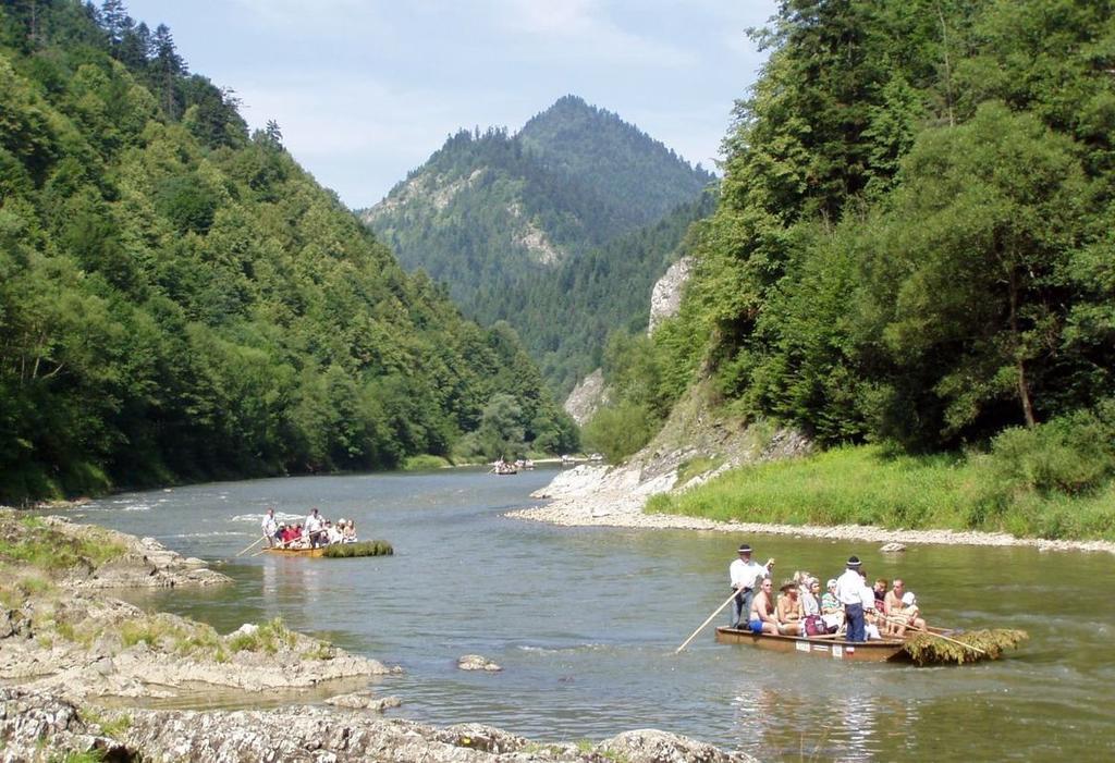 Pinewood Valley Oasis Vyšné Ružbachy Eksteriør billede