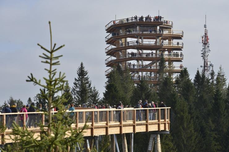 Pinewood Valley Oasis Vyšné Ružbachy Eksteriør billede